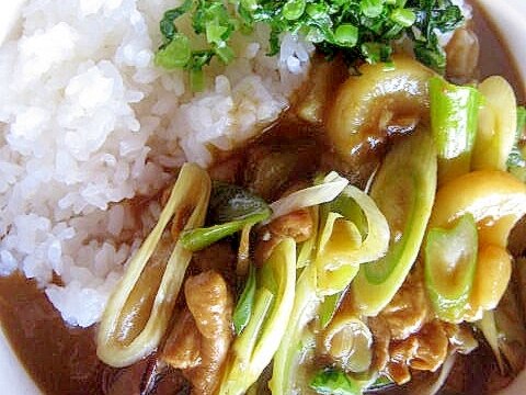 モツの和風カレーライス